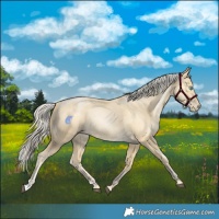 Horse Color:Chestnut Snowdrop Pearl 