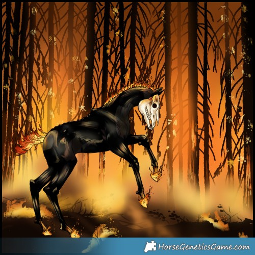 Horse Color:Void Midnight Silver Grullo Splash Tobiano 