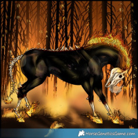 Horse Color:Void Midnight Silver Grullo Splash Tobiano 