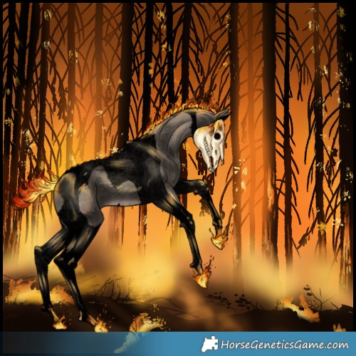 Horse Color:Void Silver Grullo Splash Tobiano 