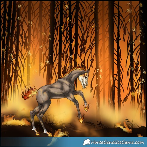 Horse Color:Silver Grullo Tobiano