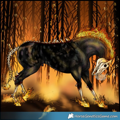 Horse Color:Void Midnight Silver Grullo Ice Tobiano Appaloosa 