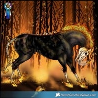 Horse Color:Void Midnight Silver Grullo Ice Tobiano Appaloosa