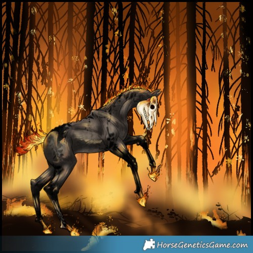 Horse Color:Void Silver Black Tobiano Rabicano 