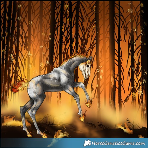 Horse Color:Grullo Tobiano 