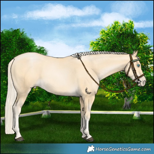 Horse Color:Chestnut Snowdrop Pearl 