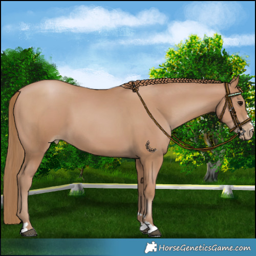 Horse Color:Black Pearl 