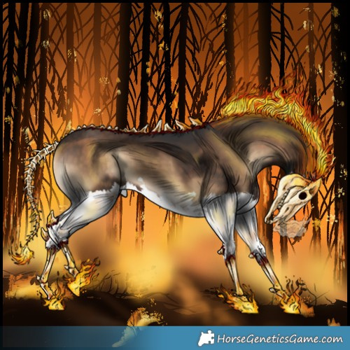 Horse Color:Silver Brown Onyx Splash 