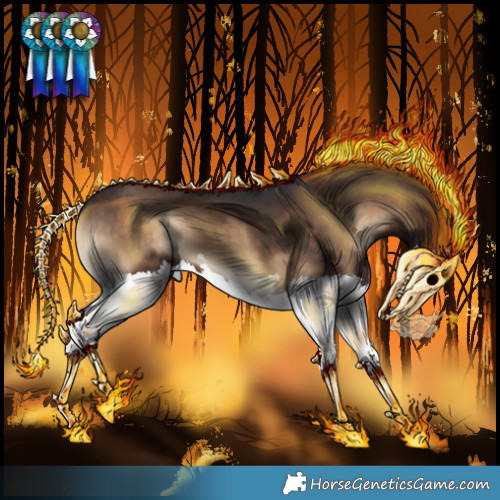 Horse Color:Silver Brown Onyx Splash