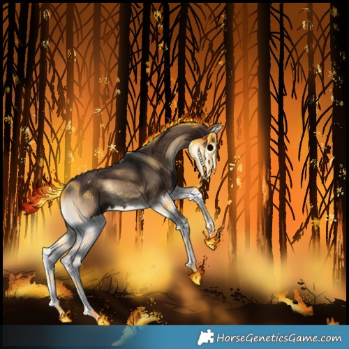 Horse Color:Silver Brown Onyx Splash 