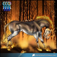 Horse Color:Silver Brown Onyx Splash