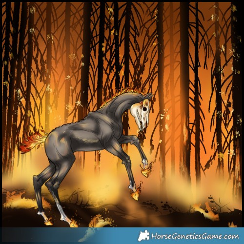 Horse Color:Smoky Grullo 