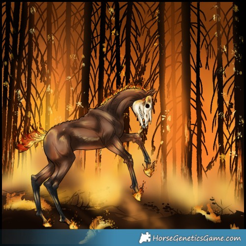 Horse Color:Void Bay 