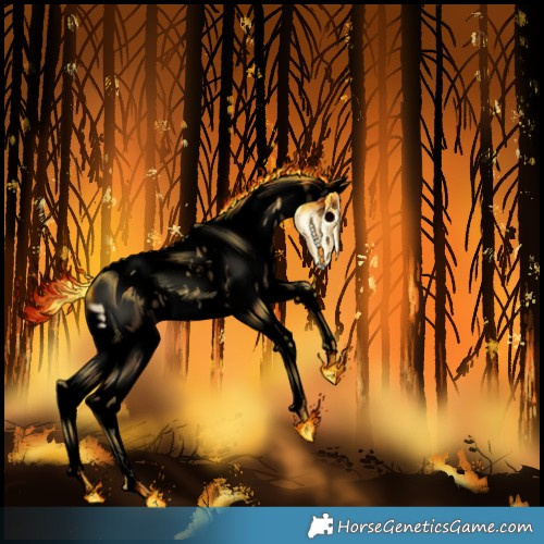 Horse Color:Gray Void Liver Red Onyx Splash Tobiano Appaloosa 