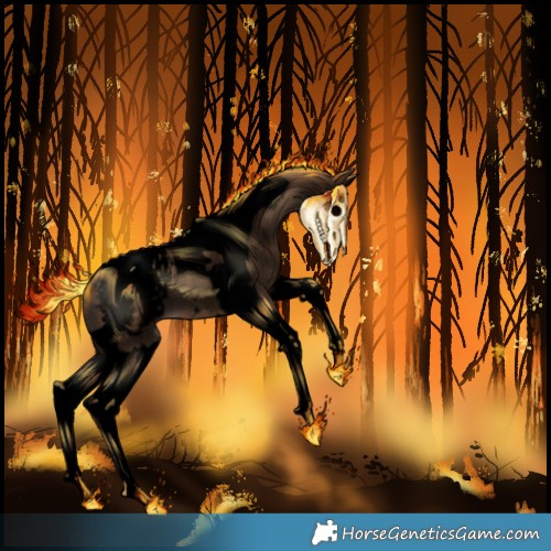 Horse Color:Gray Void Classic Champagne Mushroom Splash Tobiano Appaloosa Rabicano 