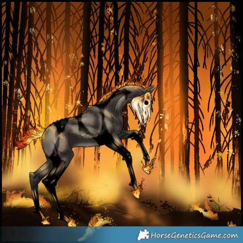 Horse Color:Gray Void Smoky Grullo Tobiano 