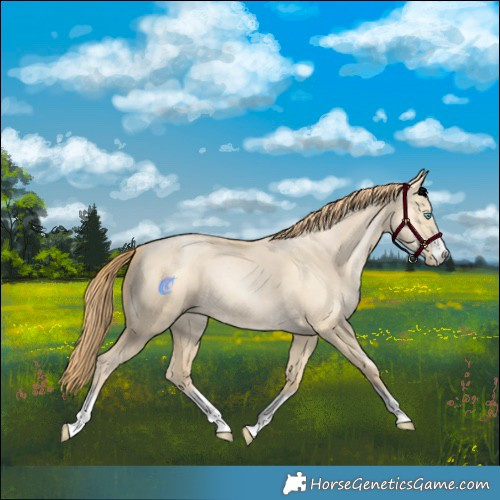 Horse Color:Bay Snowdrop Pearl Dun