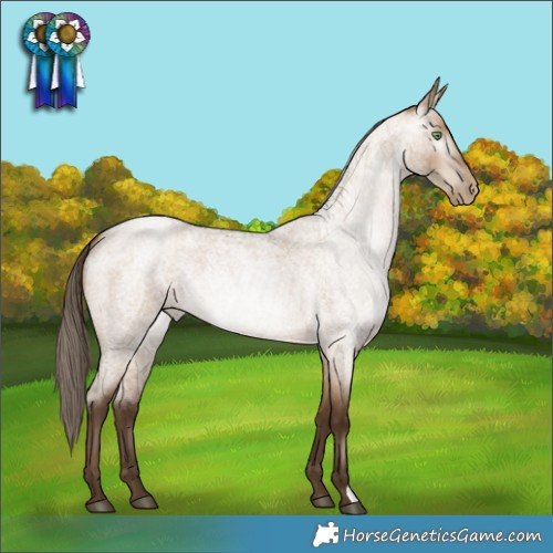 Horse Color:Gray Bay Roan Pearl Dun Rabicano 