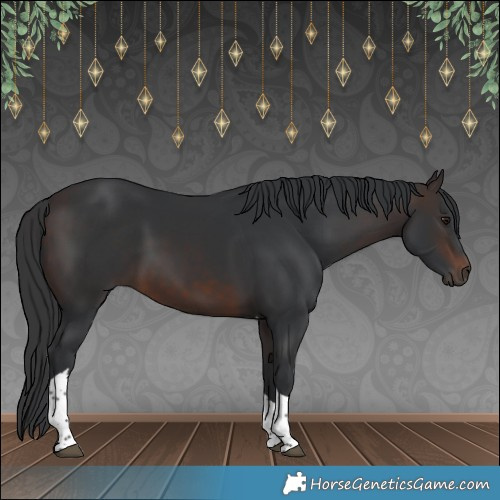 Horse Color:Brown Tobiano 