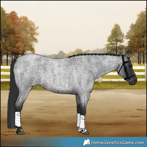 Horse Color:Brown Roan Sabino 