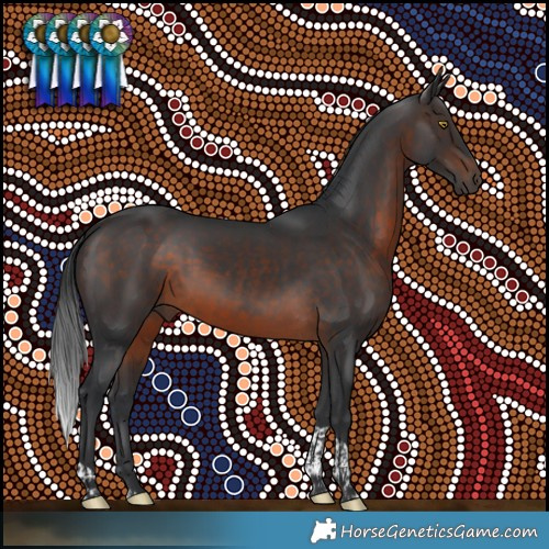 Horse Color:Brown Tobiano 