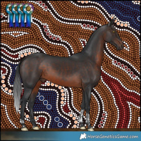 Horse Color:Brown Tobiano 