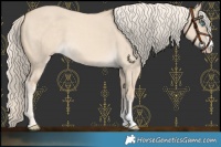 Horse Color:Cremello Dun 