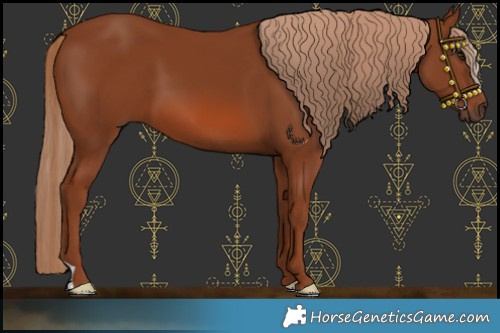 Horse Color:Chestnut 