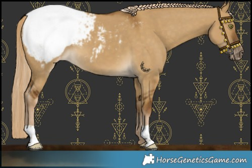 Horse Color:Chocolate Palomino Dun Mushroom Snowcap 