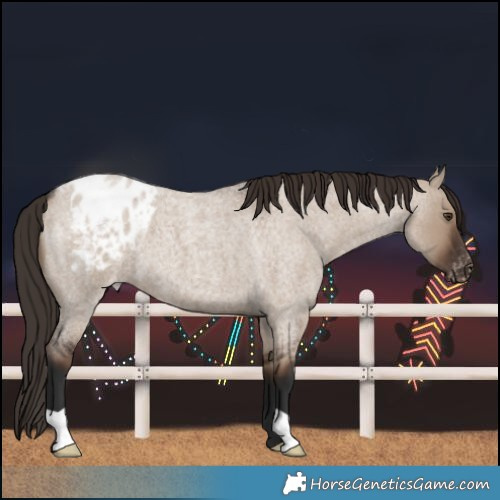 Horse Color:Liver Red Dun Roan Varnish