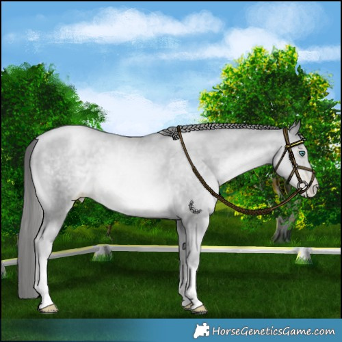 Horse Color:Platinum Smoky Black Pearl Mushroom 