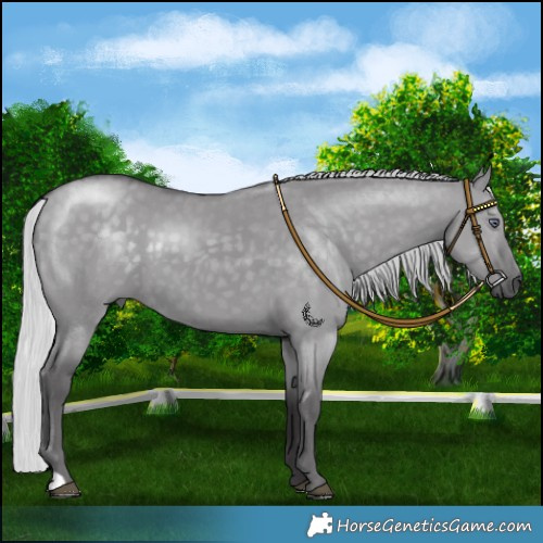 Horse Color:Silver Smoky Grullo Chinchilla