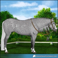 Horse Color:Silver Smoky Grullo Chinchilla