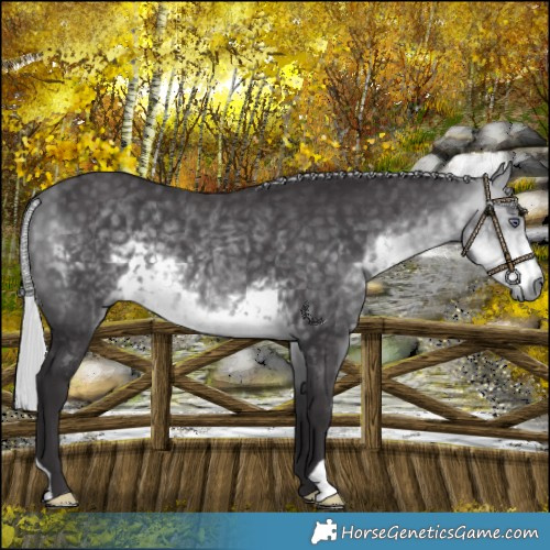 Horse Color:Silver Buckskin Chinchilla