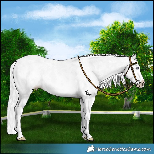 Horse Color:Chocolate Silver Smoky Creme Chinchilla Sabino Splash