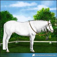 Horse Color:Chocolate Silver Smoky Creme Chinchilla Sabino Splash