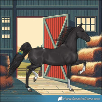Horse Color:Smoky Black Tobiano