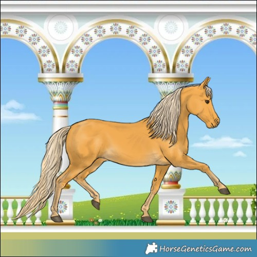 Horse Color:Palomino