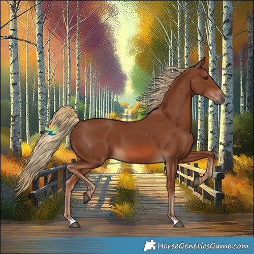 Horse Color:Chestnut 