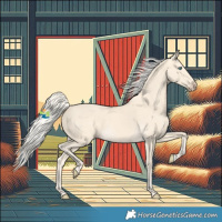 Horse Color:Cremello 