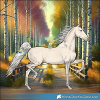 Horse Color:Cremello 
