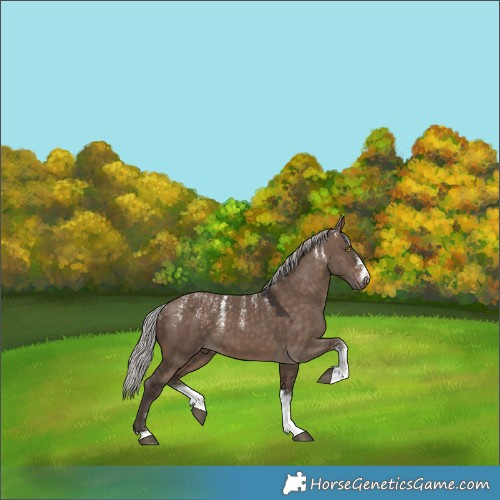 Horse Color:Powder White Silver Brown Dun 