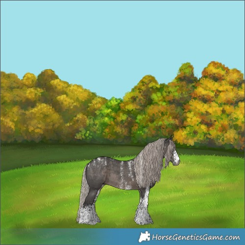 Horse Color:Powder White Gray White Spotted Silver Black