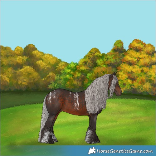 Horse Color:Powder White Silver Brown