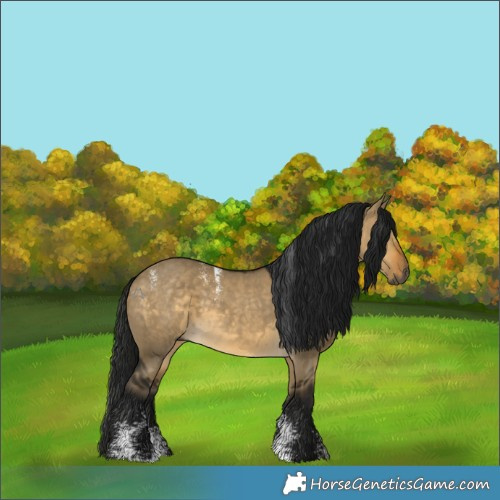 Horse Color:Powder White Gray Buckskin Dun