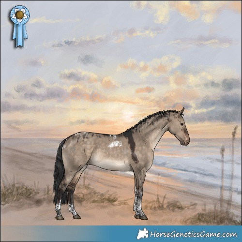Horse Color:Brown Dun Tobiano and Brown Dun Tobiano Skewed Appaloosa