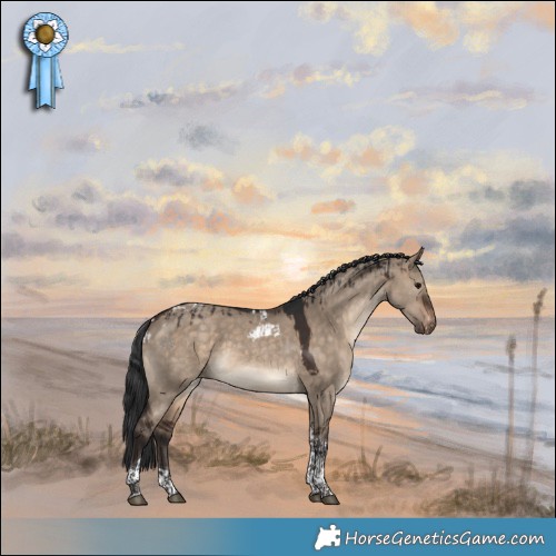 Horse Color:Brown Dun Tobiano and Brown Dun Tobiano Skewed Appaloosa