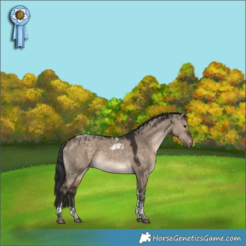 Horse Color:Brown Dun Tobiano and Brown Dun Tobiano Skewed Appaloosa