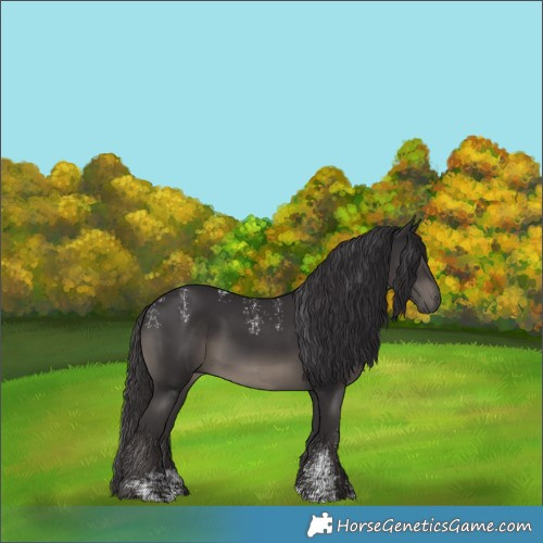 Horse Color:Powder White Smoky Black 