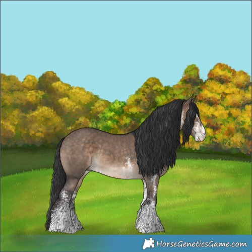 Horse Color:White Spotted Brown Dun Rabicano 